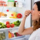 4 простых способа быстро убрать запах из холодильника после праздников