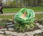 Необычные цветники