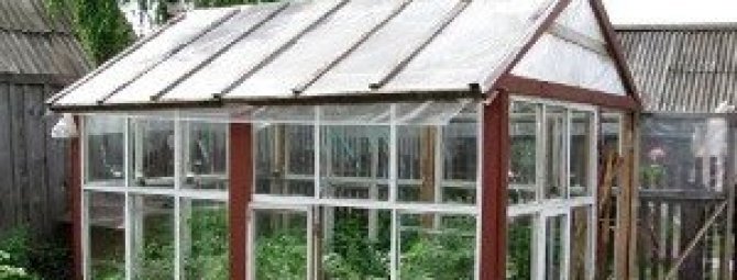 Теплица из оконных рам: как найти новое применение старым окнам?