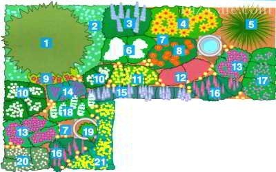 Схема размещения растений с разным периодом цветения