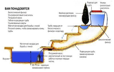 Обстановка ради пруда