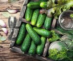 5 сортов огурцов корнишонов, которые хороши для консервации