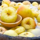 Моченые яблоки по рецепту свекрови: 9 вкусных идей