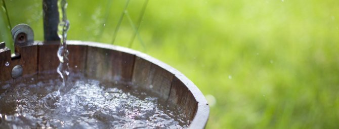 Правила очистки и дезинфекции воды в колодце: устраняем муть и бактерии
