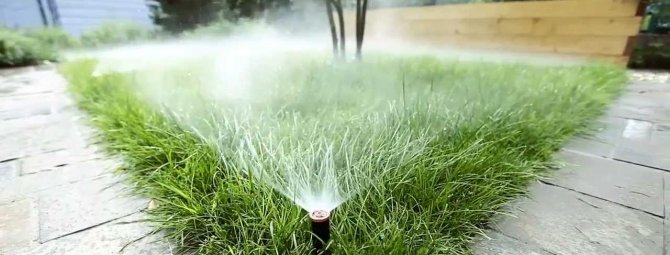Автоматический капельный полив газона: подводим воду к труднодоступным зонам