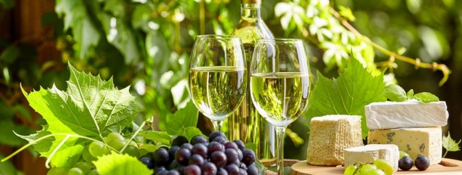 Особенности выращивания Амурского винограда: полив, подкормка, борьба с вредителями