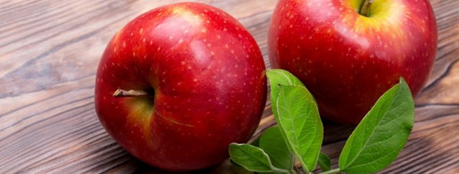 Популярный сорт яблони Гала и его разновидности