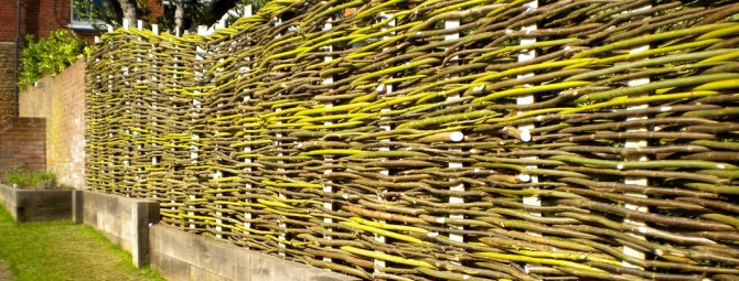 Плетеный деревянный забор: разбираем премудрости устройства “плетня”