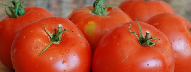 5 сортов томата, которые будут плодоносить все лето