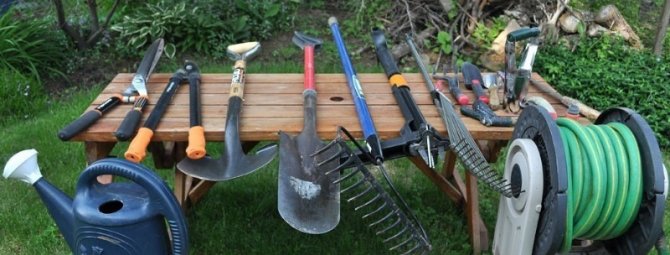 8 инструментов, без которых нельзя обойтись на даче