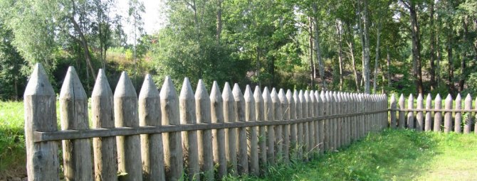 Как сделать забор частокол на своей даче: мой сад – моя крепость