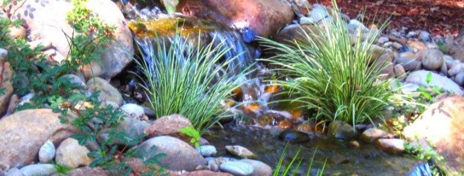 Проявления воды в ландшафтном дизайне: 5 вариантов водных сооружений на любой вкус