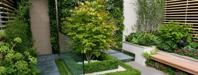 Сад в стиле модерн: разбираем основные стилистические особенности
