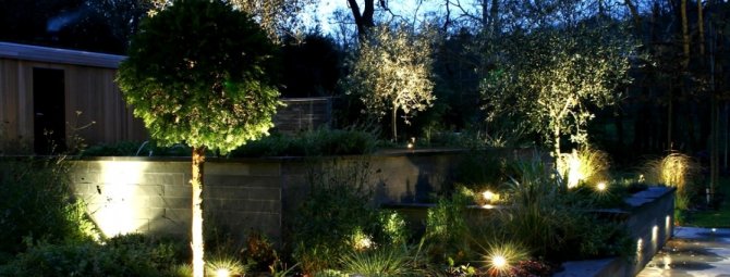 Сравнительный обзор светильников для сада: как правильно выбрать садовое освещение