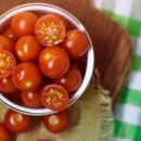 4 совета, как отобрать семена из созревших томатов, чтобы посадить их в следующем году