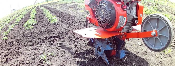 Jak vyrobit kopáč na brambory na pojízdném traktoru vlastními rukama?
