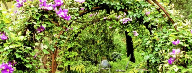 Металлическая садовая арка: как сделать долговечный декор для сада своими руками