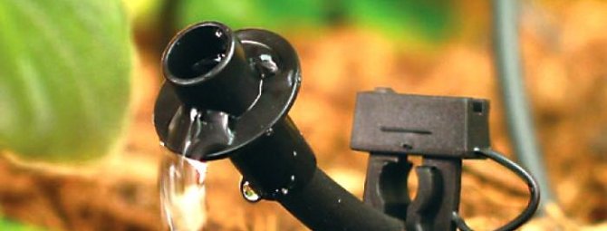 Система капельного полива в теплице: пример устройства своими руками