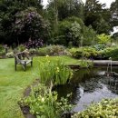 Идеи английского сада, которые можно легко применить у себя на даче