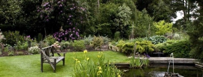 Идеи английского сада, которые можно легко применить у себя на даче