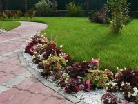 Миксбордер с добавлением гейхеры