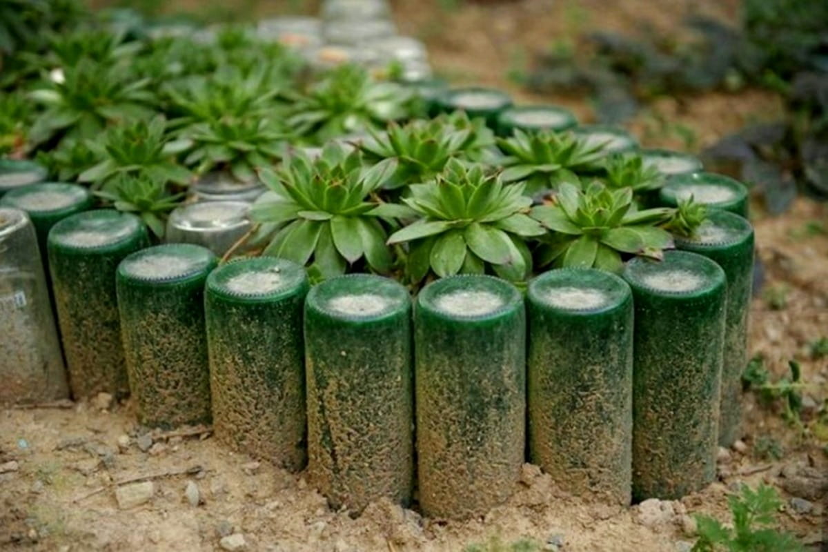 Вторая жизнь пластиковых бутылок: оригинальные садовые клумбы