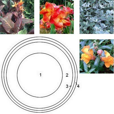 Схема оформления простой круглой клумбы с подбором растений