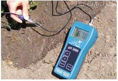 Точный и быстрый способ измерения кислотности в почвах
