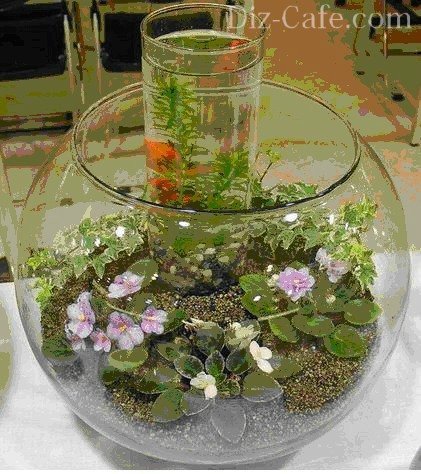 Как устроить флорариум (сад в стеклянной емкости)