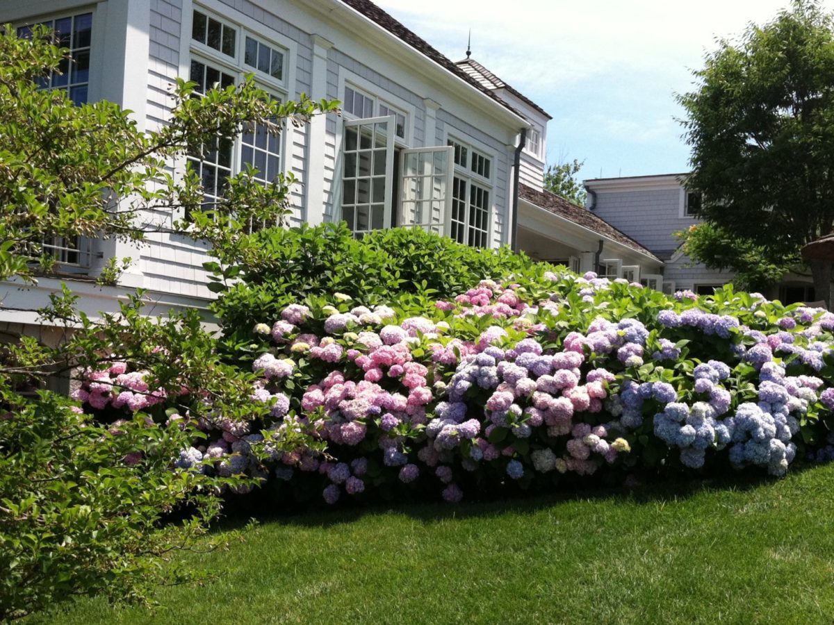 Как разбить и оформить красивый цветник перед домом на даче