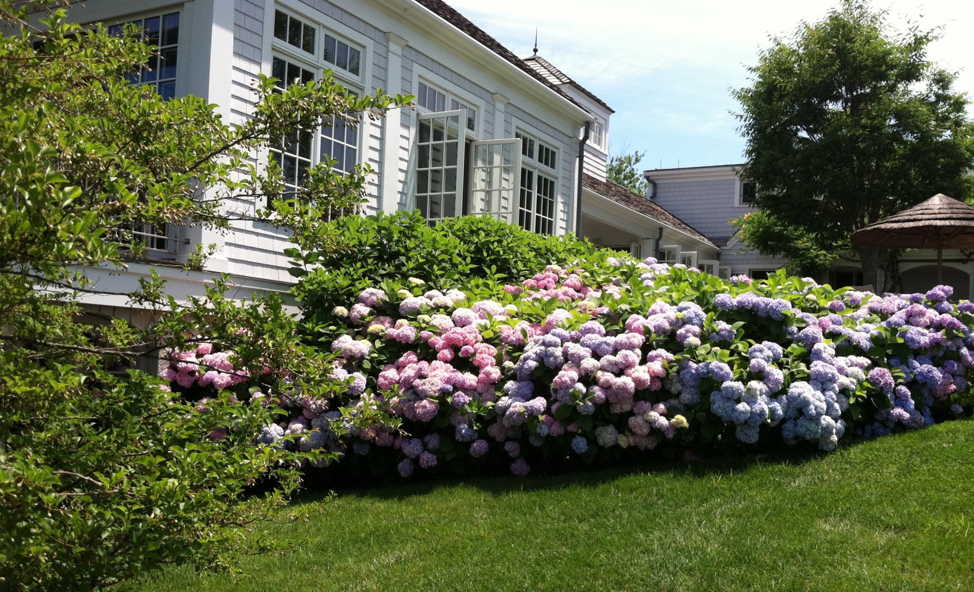 Оформить клумбу перед домом просто и красиво цветами (64 фото)