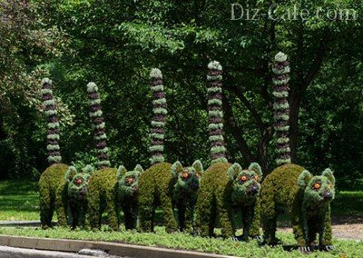 Скульптуры из растений