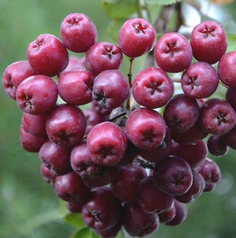 Группа Гороскопы, Приметы , Народная мудрость | 🍁🍂 ОСЕННЕЕ РАВНОДЕНСТВИЕ и РИТУАЛЫ