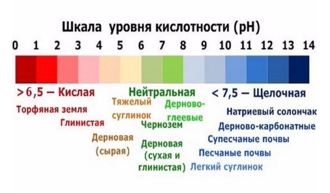 Шкала кислотности