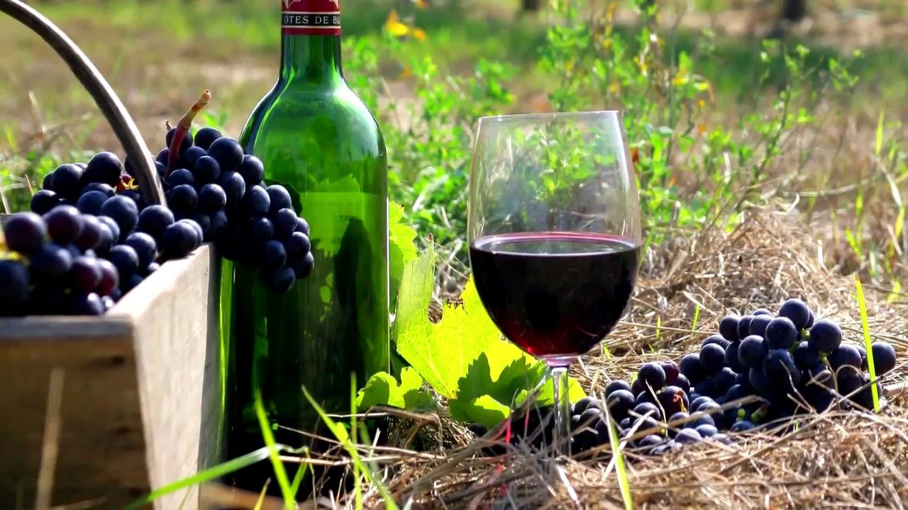 Сорт винограда "Траминер" и произведенное из него белое вино " Гевюрцтраминер": описание и отзывы