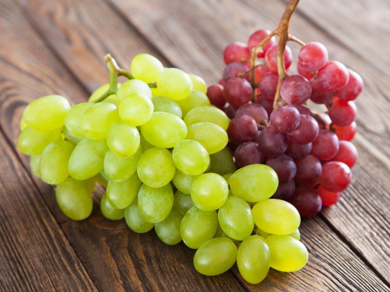 Лучшие сорта винограда с описанием, характеристикой и отзывами, в том числе винные, какие выбрать для выращивания в Украине, России