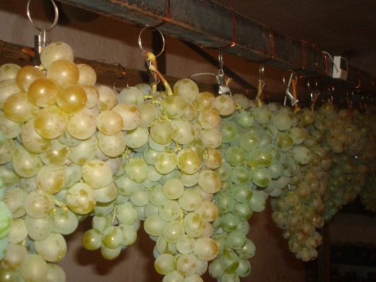 Хранение винограда