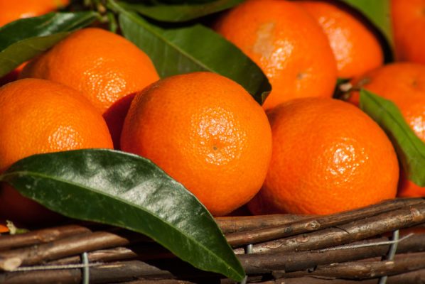 Апельсины из Абхазии