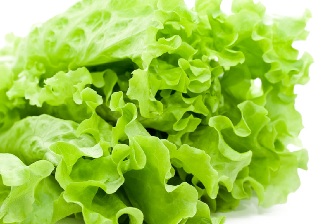 салат зеленый фото