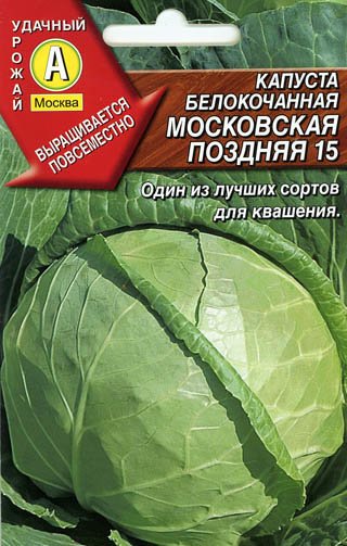 Лучшие сорта капусты для засолки и хранения: как выбрать, варианты дляСибири и других регионов, отзывы