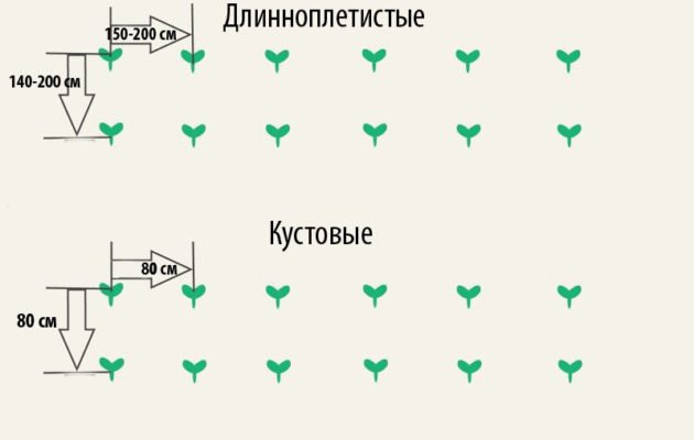 Схема посадки