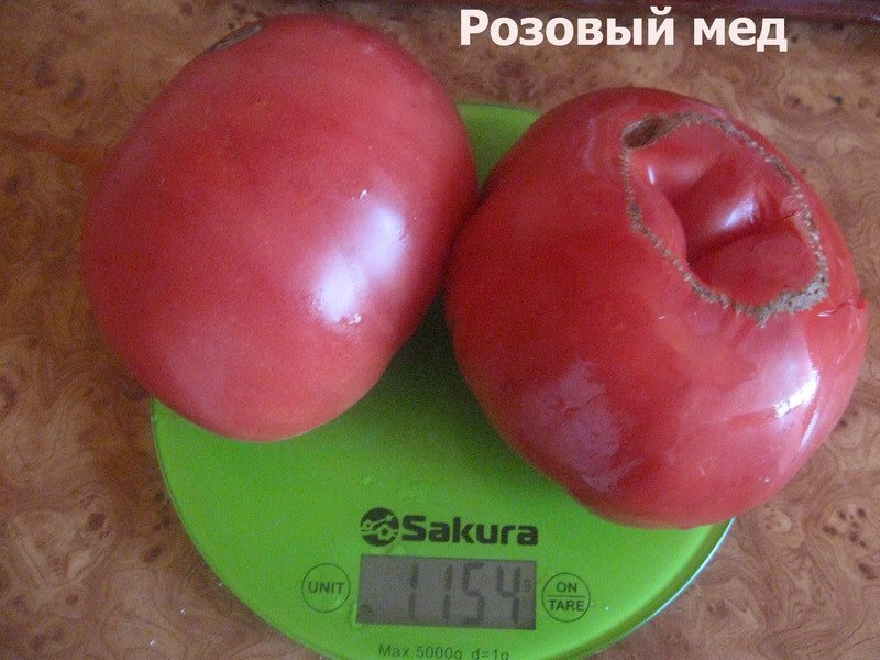 Розовый мед томат описание и фото