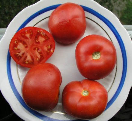 Плоды томата Сибирский скороспелый
