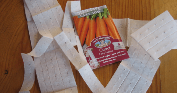 Семена моркови на липкой ленте