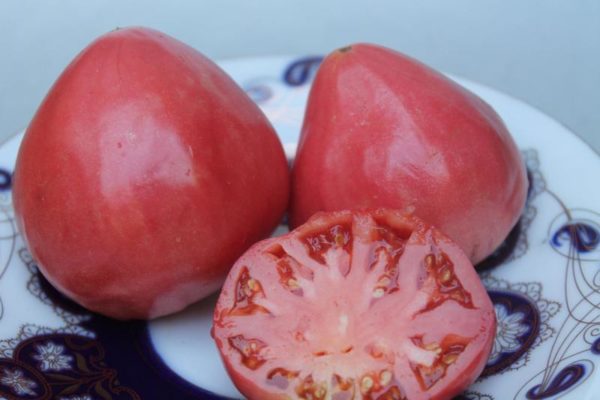 Томат Воловье сердце описание сорта помидоров характеристики Советы по выращиванию болезни и вредители Отзывы и рекомендации